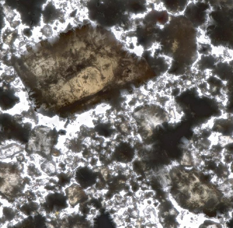 Chang'e-6 far-side soil under a stereomicroscope