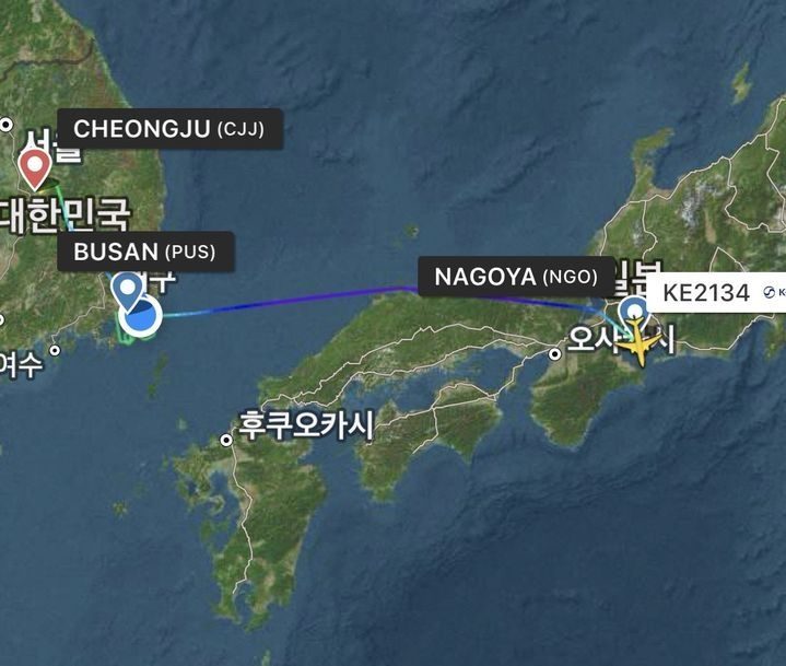 Press reproduction: flight-tracker map of Korean Air KE2134 (Nagoya to Gimhae) on 19 May 2026, showing its approach to Busan/Gimhae and diversion north to Cheongju while the airport was closed for the reported lights. Not an image of the lights.