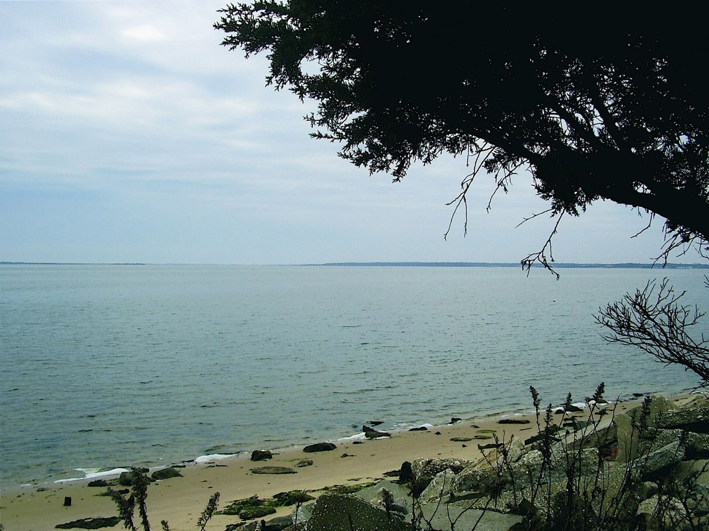 Moriches Bay on the south shore of Long Island, New York (December 2007).