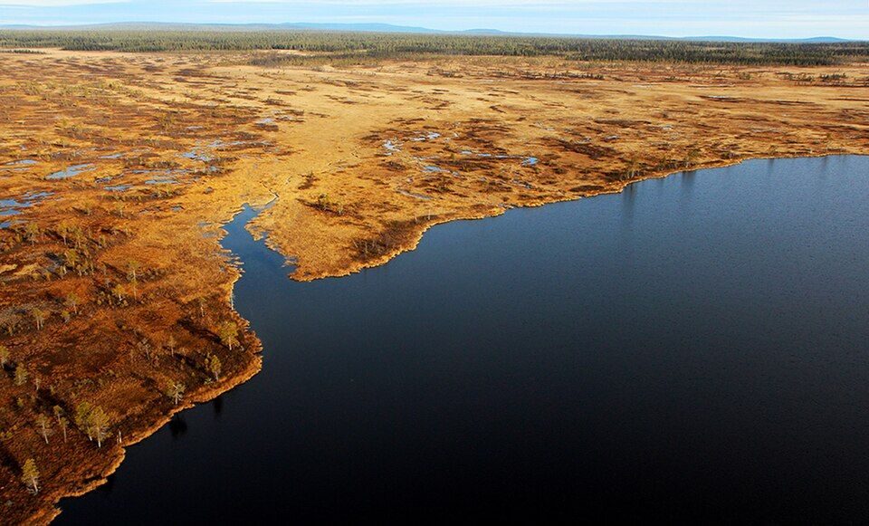 Context: bog around lake Muddusluobbal in Muddus National Park, near Jokkmokk - the kind of forest lake where Bo and Liz Berg say a 'rocket' landed on 31 July 1980. The exact lake is not named in the sources.
