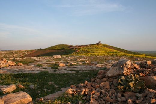 The Göbekli Tepe mound (2009)