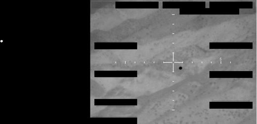 FBI Photo A4, Dark Circle Below Reticle