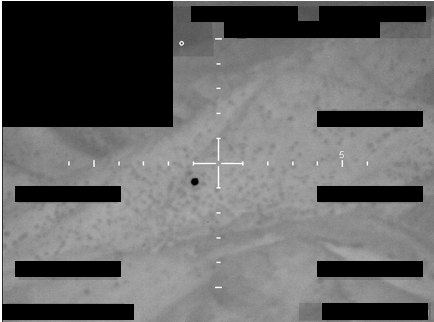 FBI Photo A5, Dark Circle Lower Right
