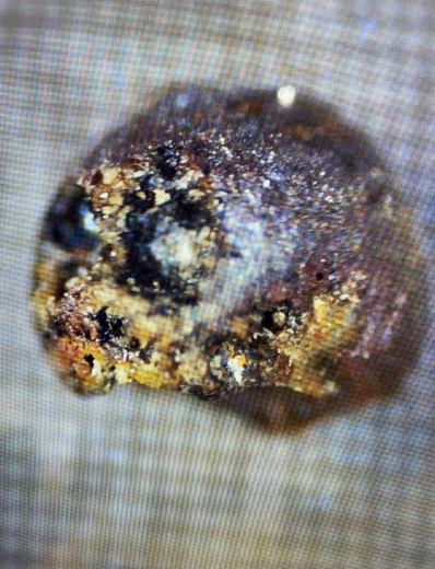 A spherule from the 2023 expedition