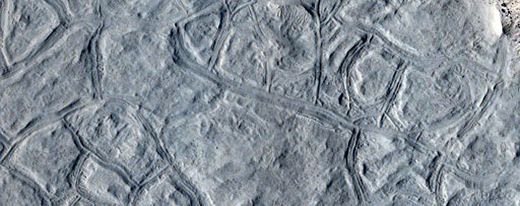 HiRISE ESP_064781_1695: "Well-Preserved Polygons" (featured crop)