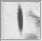 Termoskan image: the thin ellipse on Mars (March 1989)