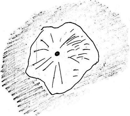 Witness drawing: the phenomenon at its main phase as seen from the settlement of Shuya near Petrozavodsk by an observer named Zaitsev (fig. 15.3.1 of the 1977-78 Academy investigation materials): a central body with rays inside a bright shell.