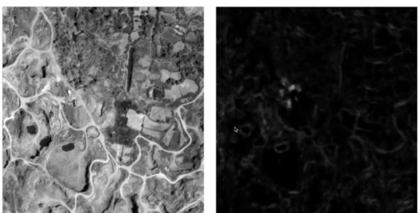 LROC NAC M118769870: Paracelsus C