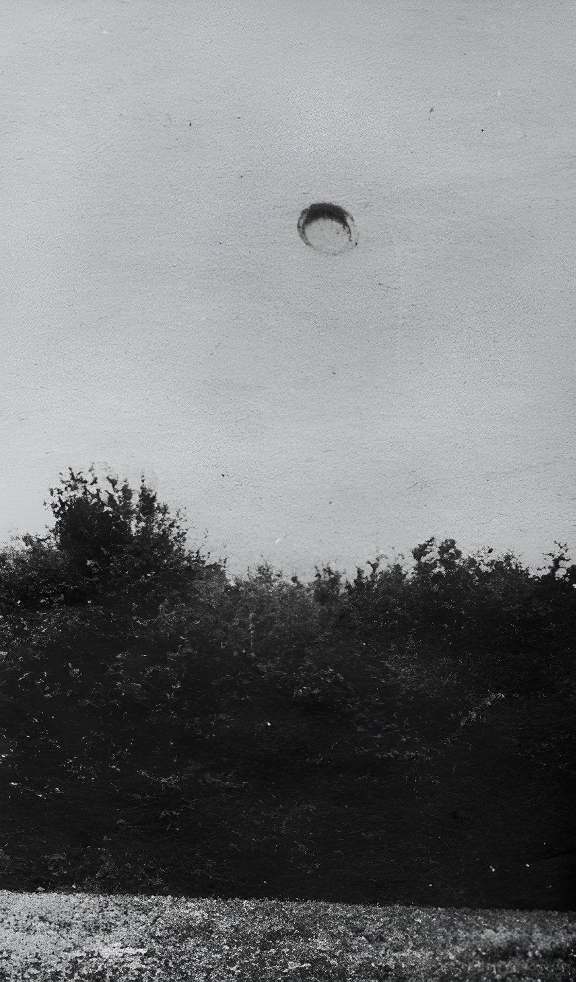 Emil Barnea's second photograph, Hoia-Baciu forest, Cluj, 18 August 1968 (~13:23): a disc-shaped object above the tree line. Press reproduction (halftone from a printed source), not a scan of the negative; Agerpres circulated the photos in September 1968.