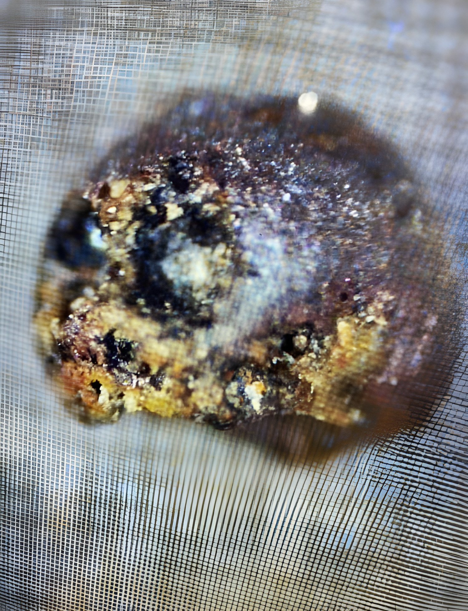 A spherule from the 2023 expedition