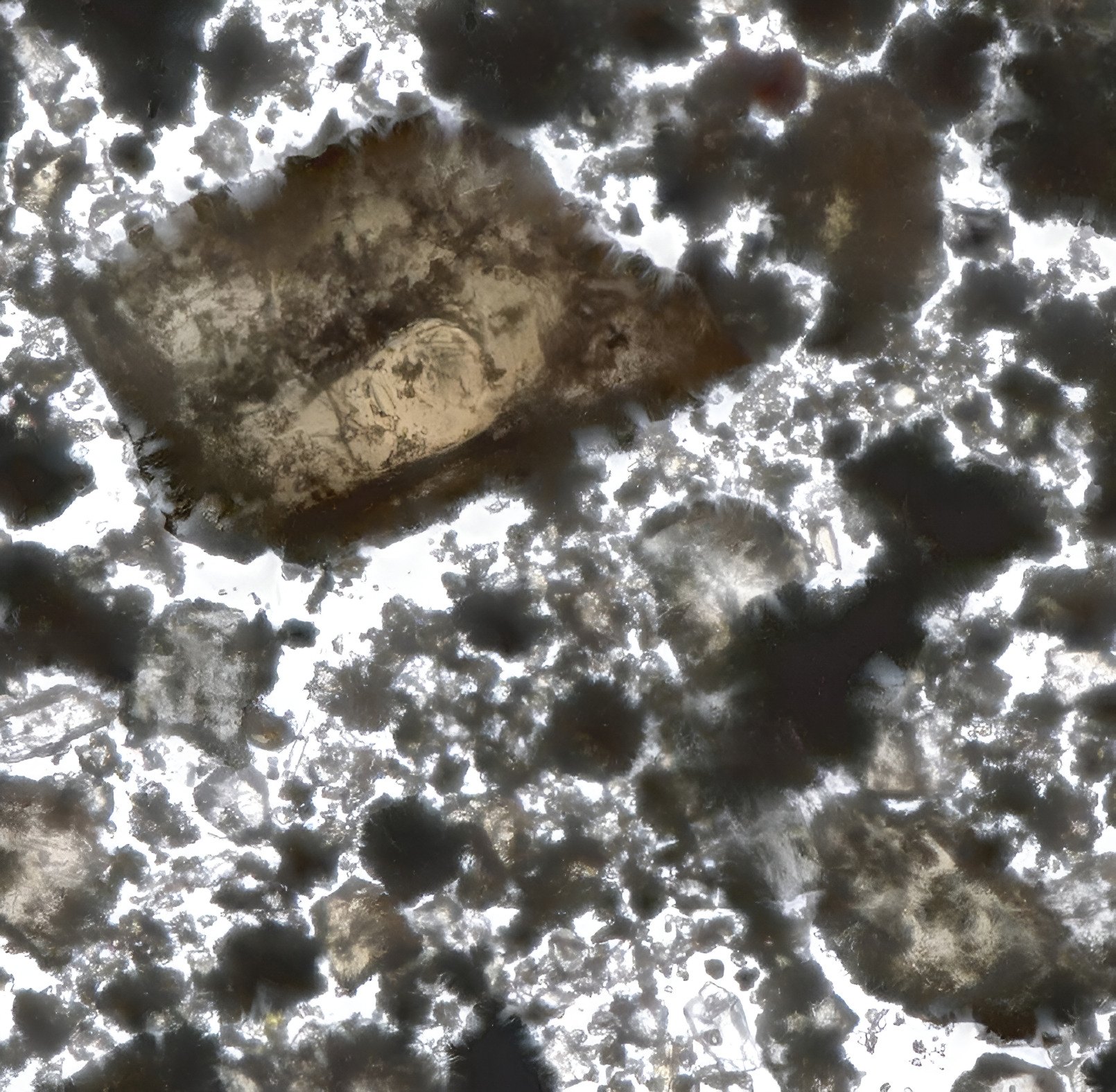 Chang'e-6 far-side soil under a stereomicroscope